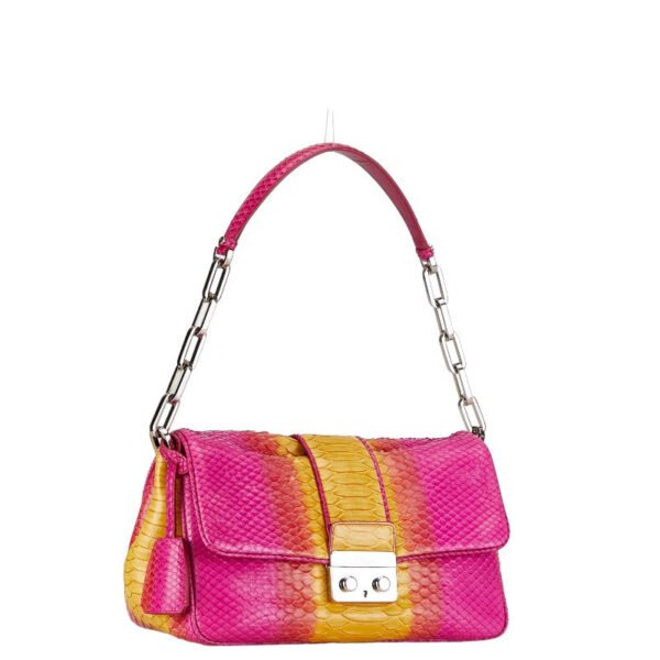 Dior Python Leather Chain Shoulder Bag - Image 2