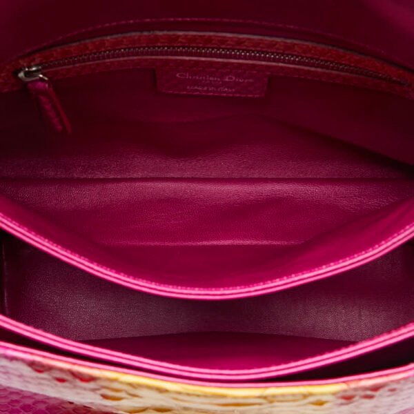 Dior Python Leather Chain Shoulder Bag - Image 5