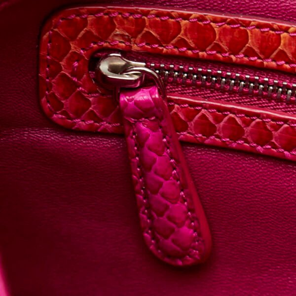 Dior Python Leather Chain Shoulder Bag - Image 6