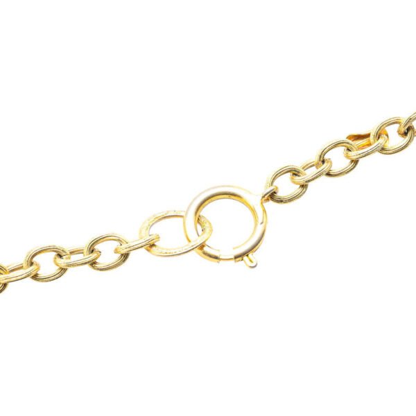 Chanel Matelasse Lion Round Necklace - Image 3