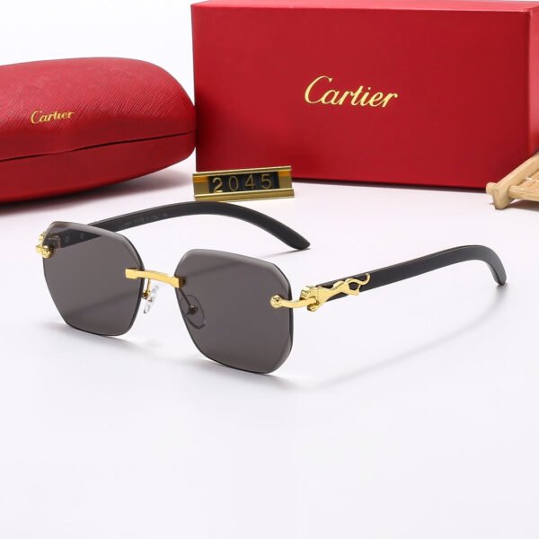 Luxury Eyewear: Elevate Your Style with Exquisite Craftsmanship-65 - Image 9