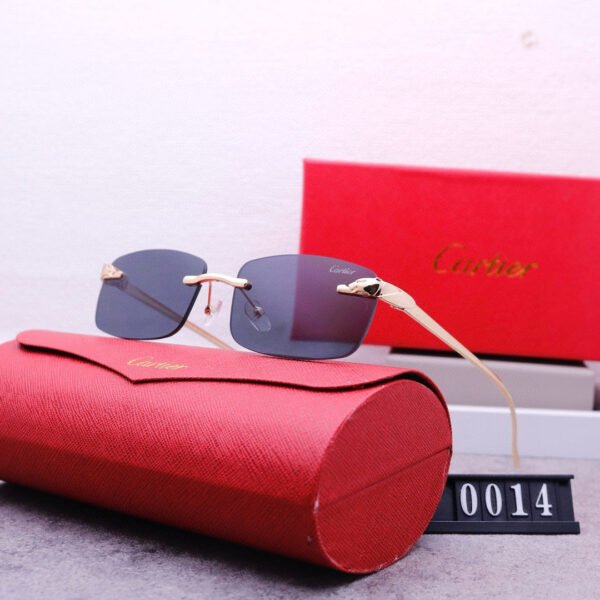 Luxury Eyewear: Elevate Your Style with Exquisite Craftsmanship-97 - Image 5
