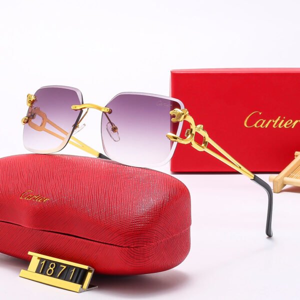Luxury Eyewear: Elevate Your Style with Exquisite Craftsmanship-197 - Image 6